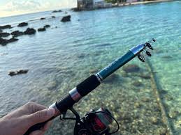 enhancing fishing poles Clam Spreader Pole Kit This spinning combo from Wakeman provides young anglers with confidence Caperlan WXM-5 Pike Fishing Rod