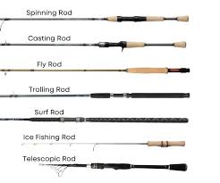 Exploring the World of Fishing Rod Varieties