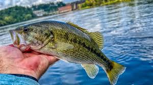 10 Tips for Mastering Slow Jigging Rods