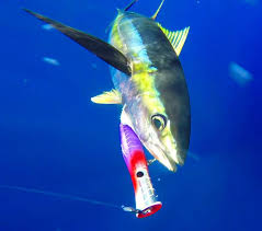 Discover the Optimal Size for a Popping Fishing Rod According to Experts