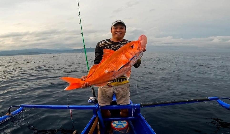 《Jig Head Revolution: Decoding Modern Offshore Fishing's Black Tech – From Bionic Hydrodynamics to AI-Driven Chassis Control》