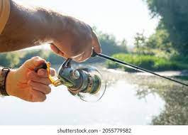 《Fishing &Art Crossover: From Fish Prints to Immersive Installations》