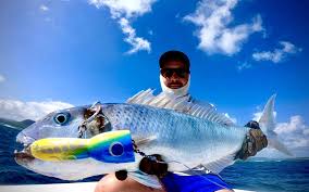 Discover the Top 10 Ways to Use Your Popping Rod – Goofish® Rod-More ...