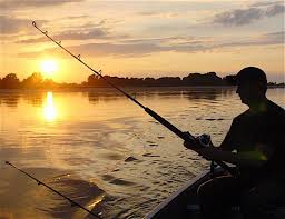 Master Slow Jigging Rods for Catching Big Sharks