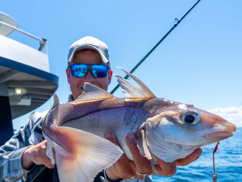 Goofish Ares Light Jigging Rod In-Depth Review: How a 5.6' Rod Dominates 40-150g Hard-Hitting Lures