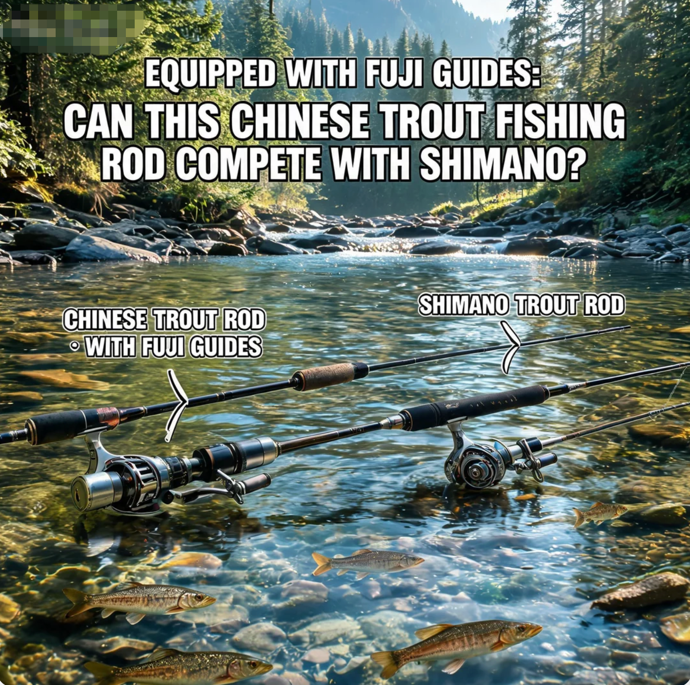 Equipped with Fuji Guides: Can This Chinese Trout Fishing Rod Compete with Shimano?