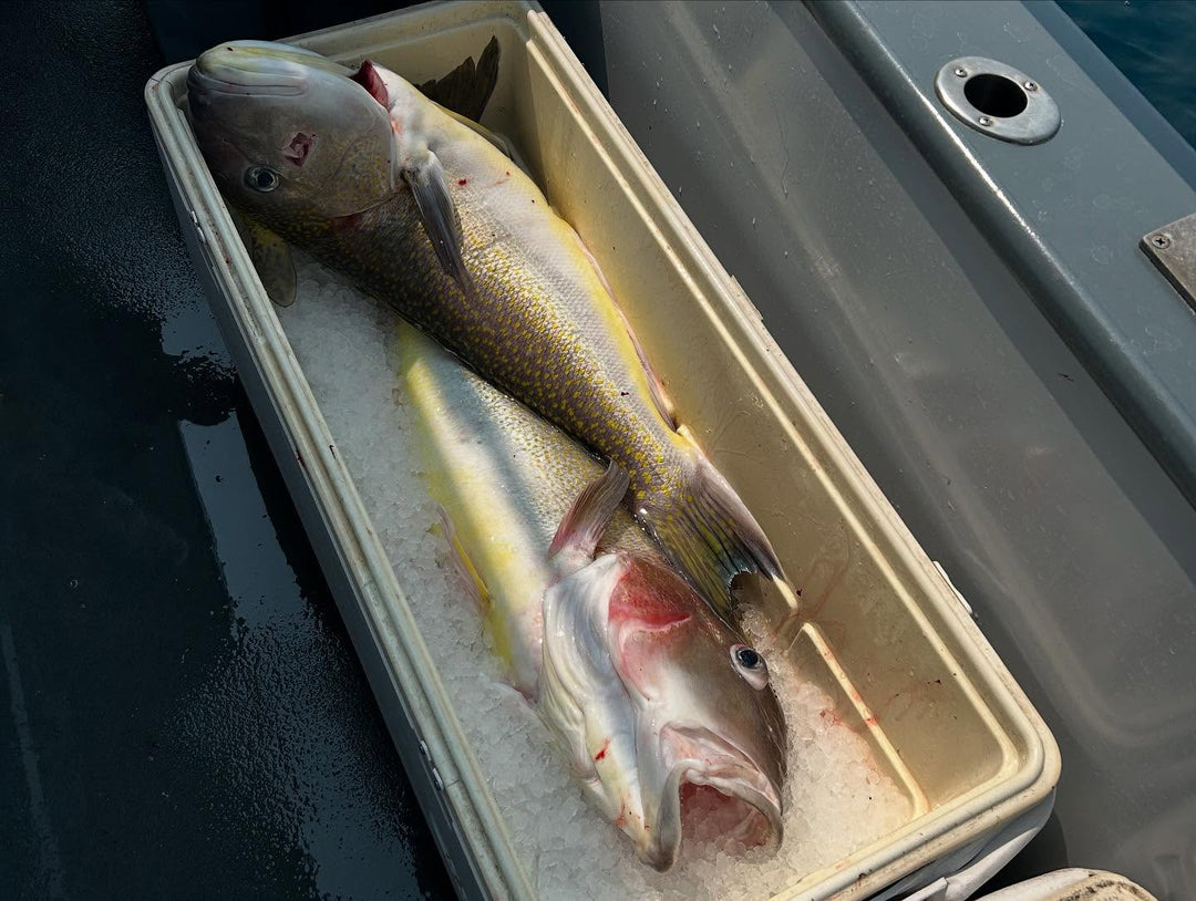 10 Tips for Bass Fishing with a Jigging Rod