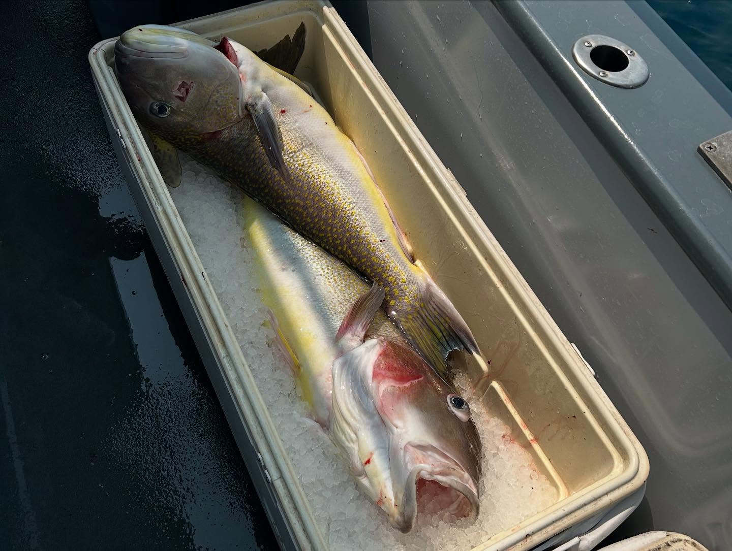 10 Tips for Bass Fishing with a Jigging Rod