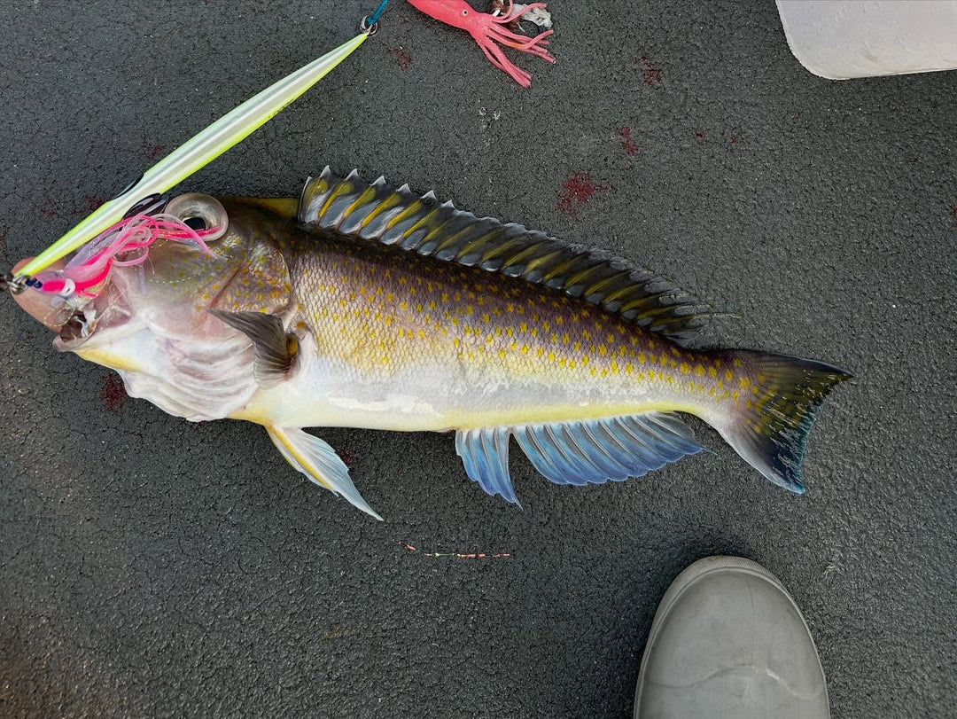 10 Must-Know Tips for Choosing the Perfect Jigging Fishing Line