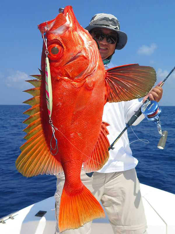 "Evolution of Night Fishing: Goofish Glowing Coating Panel's Fluid Dynamics Advantages &amp; Field Validation"