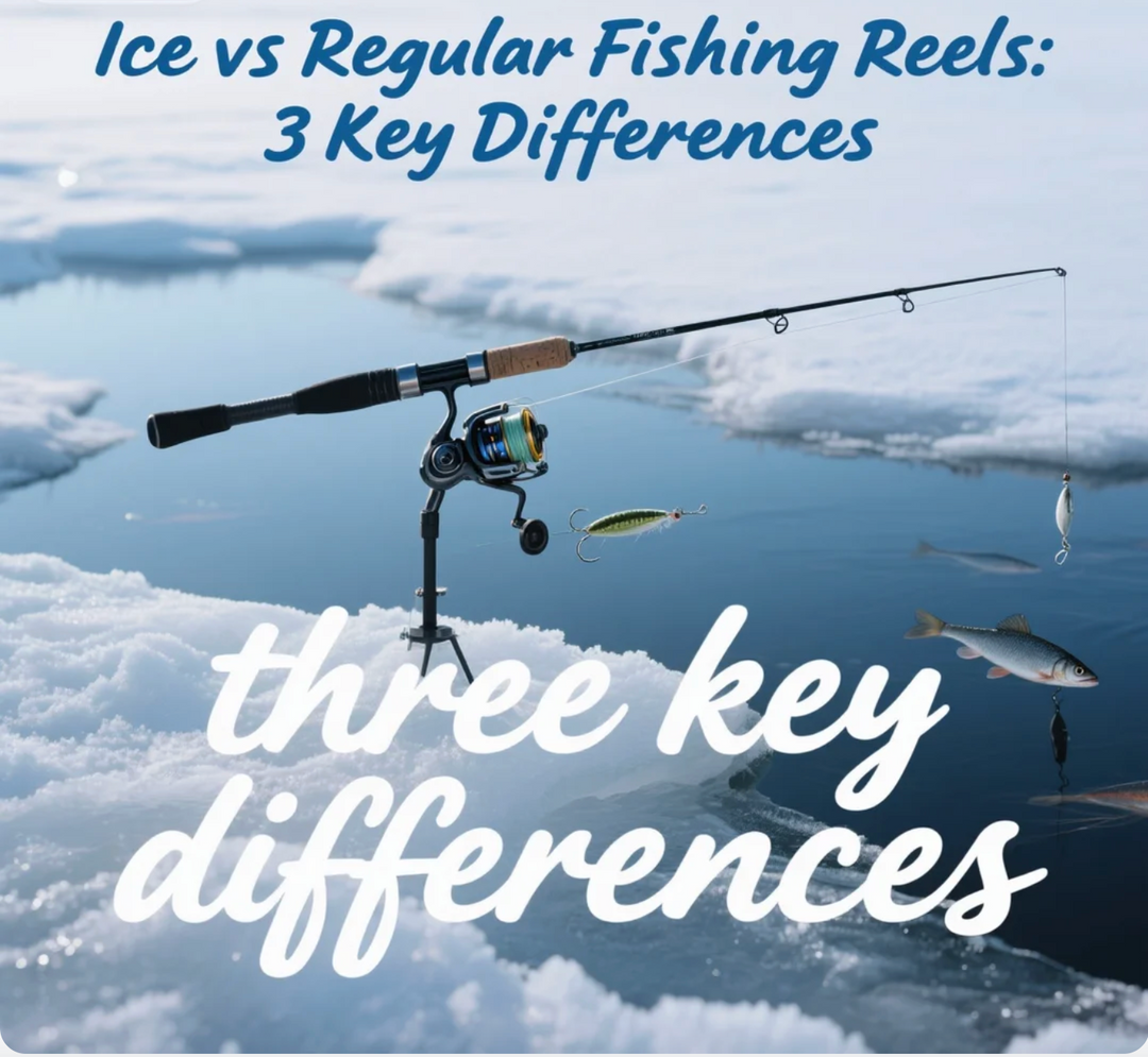 Ice vs Regular Fishing Reels: 3 Key Differences