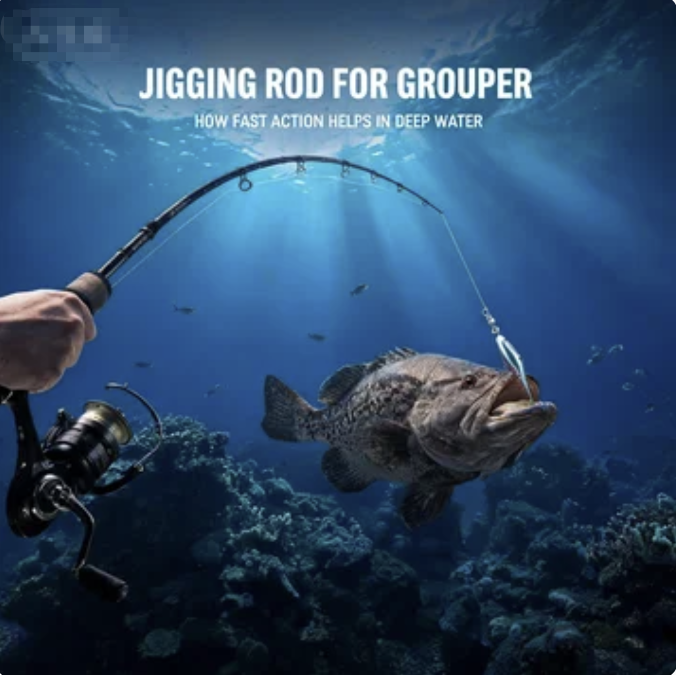 Jigging Rod for Grouper: How the Fast Action Helps in Deep Water