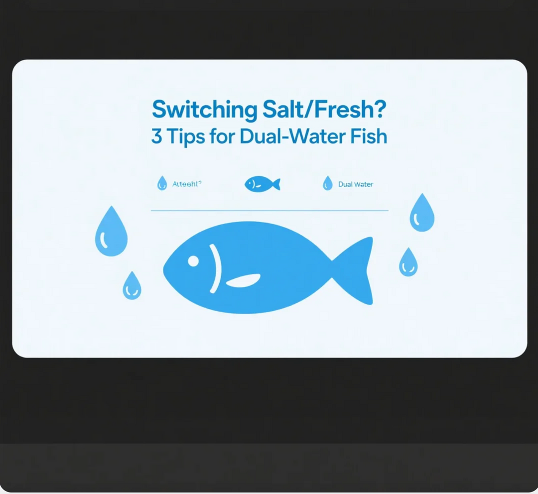 Switching Salt/Fresh? 3 Tips for Dual-Water Fish