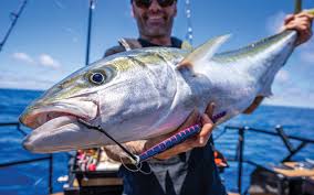 Is it worth buying a slow jigging rod with excellent quality and performance for $200?