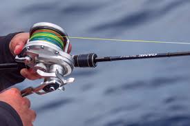 Boy or Girl: Who's the Best Saltwater Fishing Fisher of Them All?!