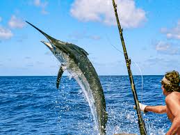 10 Essential Tips for Kayak Fishing Success