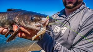 Nightlight Lure Protocol: How to Use Glow Sticks to Mimic Injured Prey and Boost Catfish Strike Rates