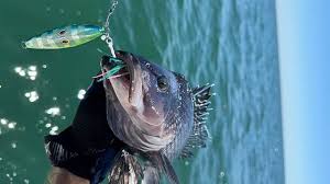 10 Proven Techniques for Slow Fall Jigging
