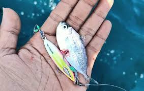 Get Hooked: The Power of Micro Jigging Rods