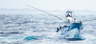 Reef Zone Zero-Experience "JIGGING"Guide: Conquering Stormy Seas for a Catch-and-Release Bonanza