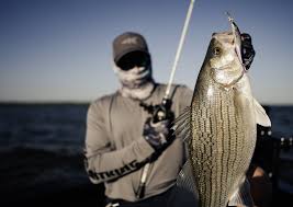Top 10 Best Fishing Line Brands for Slow Jigging Poles