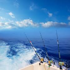 Slow Pitch Jigging Target Fish: Snapper, Grouper and Amberjack
