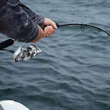 Night Fishing for Sea Bass &amp; Groupers: Comprehensive Guide to Gear, Lighting &amp; Safety
