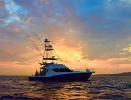 How to Choose the Right Fishing Line for Sea Fishing