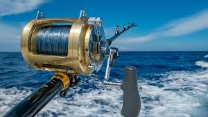 Top 5 Reasons to Use a Catfish Rod for Saltwater Fishing