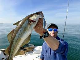 "Japan's Fuji Nano Guide Rings + Solid Blank: Decoding Goofish Monster Deep's Deep-Sea Pressure-Resistant Black Tech"