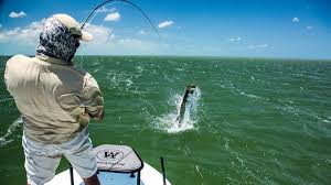 When GPS Fades: Navigating by Stars and Tides to Reel in More Than Grouper