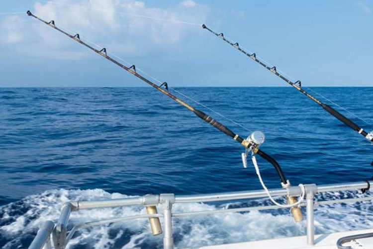 Eco-Friendly Sea Fishing: Achieving Zero-Waste Angling &amp; Marine Conservation