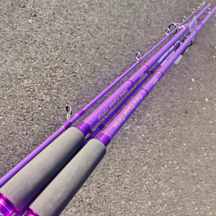 GOOFISH® Purple Diamond Light Popping Pole-9.2'(approx 280cm) 2 Piece Solid Nano Tip Japan Fuji Saltwater Popping Spinning Rod