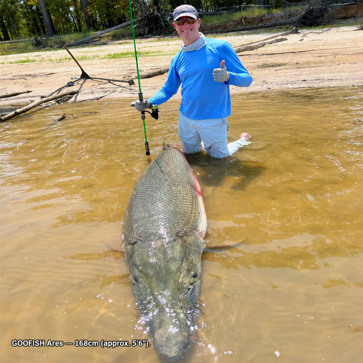 Angler holding a green GOOFISH Ares rod beside a large fish in shallow water